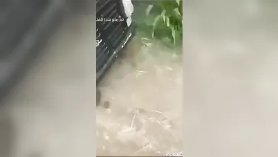 الواد زنقها في التوك توك وناكها سكس مصري