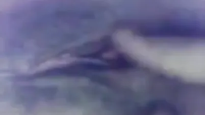 المصرية صاحبة الاهات الساخنة سكس مصري xnxx