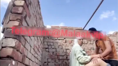 محجبة تتناك من شاب هايج فوق السطوح سكس مصري xnxx