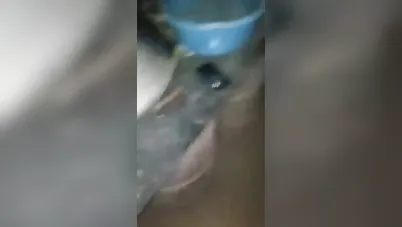 شاب هايج ينيك بنت في الخرابة سكس مصري