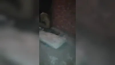 شاب هايج ينيك بنت في الخرابة سكس مصري