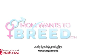 سكس مترجم - أدخل رأسه فقط - سكس امهات xnxx mom