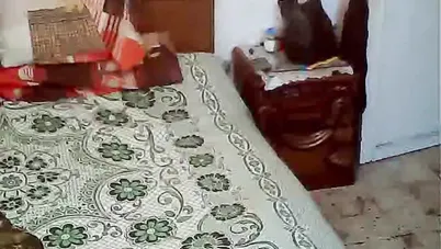 سهرة لبوة مطلقة هيجانة مع عشيقها الجزء الاول سكس مصري xnxx