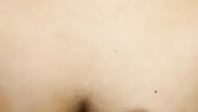 يفشخ زميلته في الشغل نيك سكس عربي xnxx