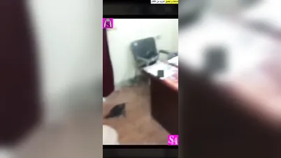 بنت كيرفي تتناك من زوج امها سكس مصري xnxx