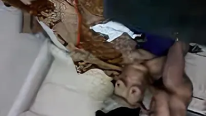 ميلف اربعينية مطلقة تتفشخ نيك من جارها سكس مصري