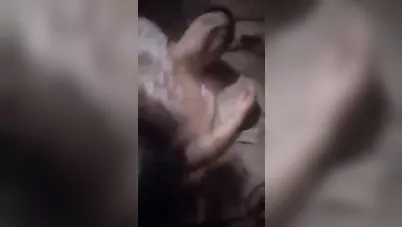 بنت كيرفي مع عشيقها بيلعبلها في كسها وهي بتتلوى من المتعة سكس مصري