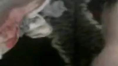 افتحي كسك يا لبوة سكس مصري xnxx