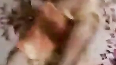 انا عايزة اتناك مش عايزة أتصور - سكس مصري