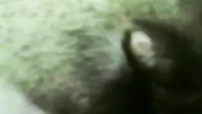 عايزة تتناكي فين يا لبوة؟ سكس مصري