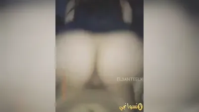 بنوتة مصرية فرسة سهرانة مع صاحبها تدلعه وتمصله وتركب زبه سكس مصري xnxx