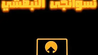 شاب يركب خالته الممحونة ويفشخها نيك سكس مصري