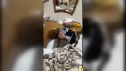 مصرية مع عشيقها من الشغل يحجز فندق وياخدها ينيكها سكس مصري