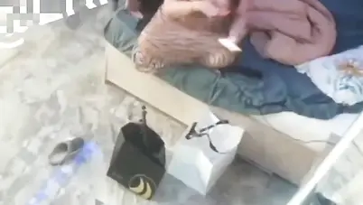 مزة نار مع السواق يرضع بزازها ويلحسلها كسها سكس مصري