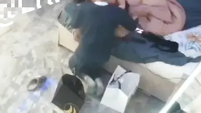 مزة نار مع السواق يرضع بزازها ويلحسلها كسها سكس مصري