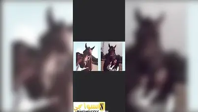 نودز بنت دلوعة ببزاز نار ودمار سكس نودز مصري